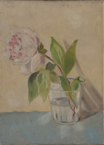 La pivoine, sans date.